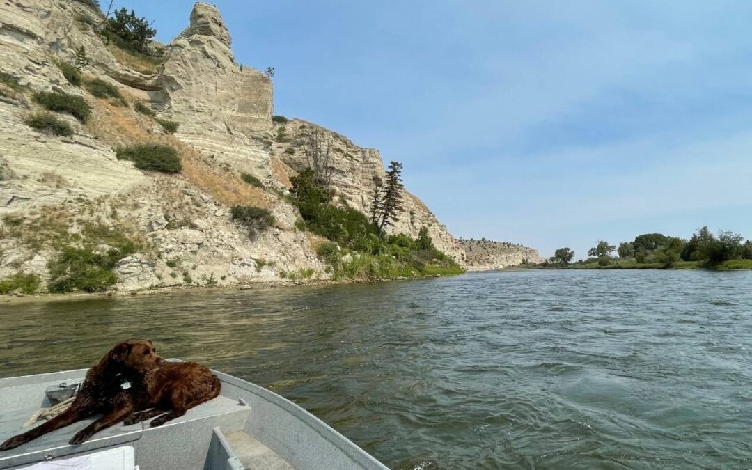 5 Great Montana River Floats